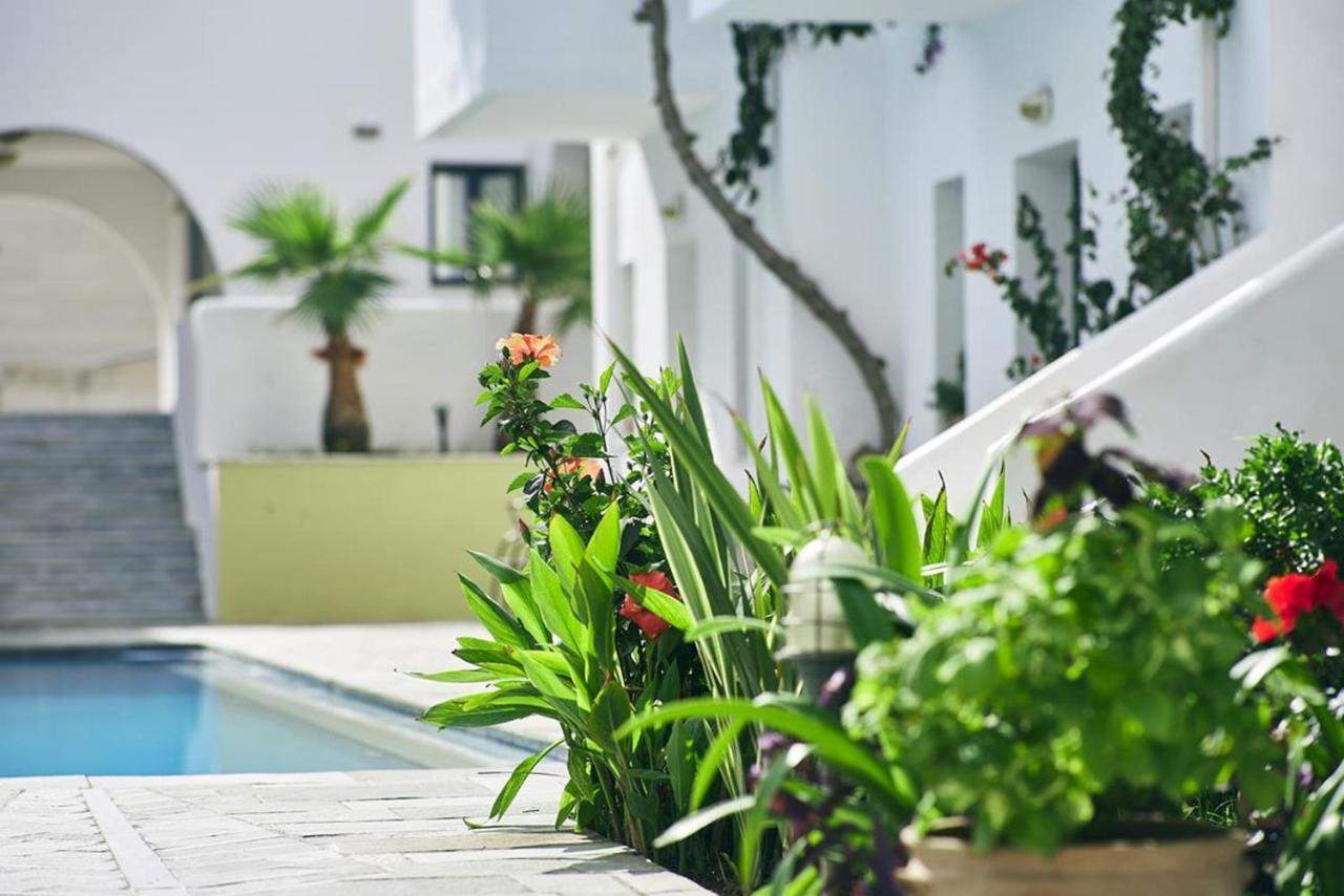 Eva Suites & Apartments Agia Marina  Exterior photo